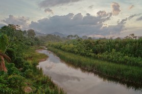 Man survives 31 days in Amazon by eating worms, fighting off animal attacks