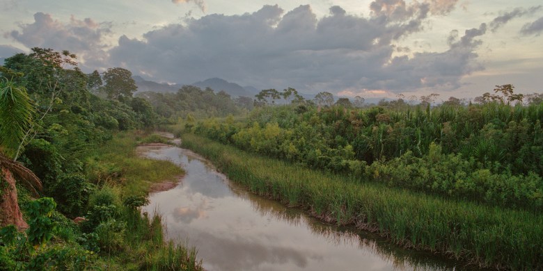 Man survives 31 days in Amazon by eating worms, fighting off animal attacks