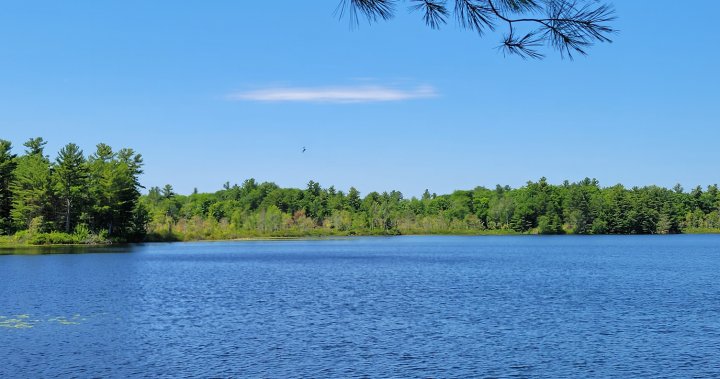 Parcel of land near Kingston, Ont. protected by Nature Conservancy of Canada