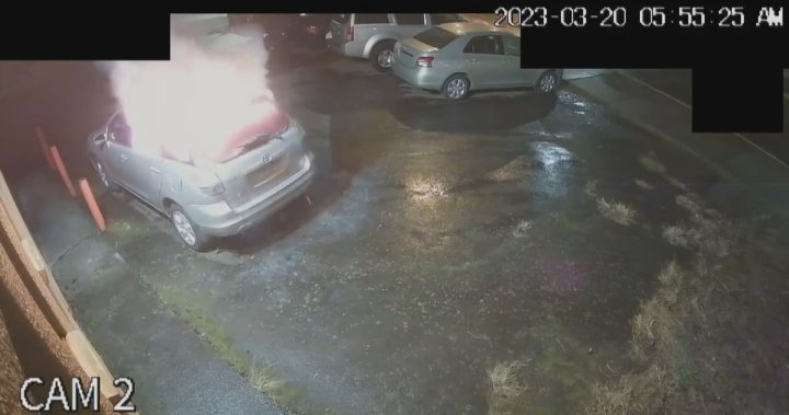 Surveillance video captures suspected arson, explosion outside Nanaimo auto-repair shop – BC