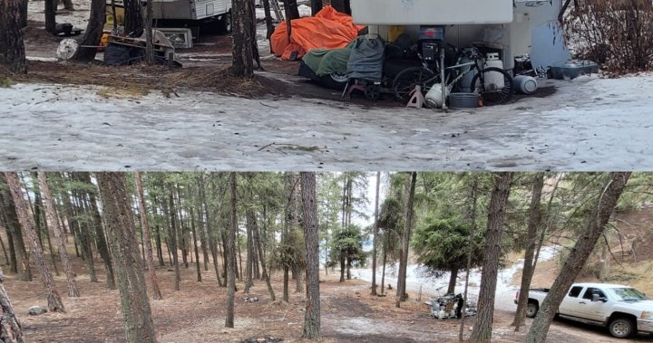 Okanagan Forest Task Force clear West Kelowna encampment – Okanagan | Globalnews.ca