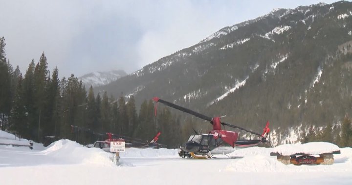 Details released on Invermere, B.C. avalanche that killed 3 German tourists  | Globalnews.ca