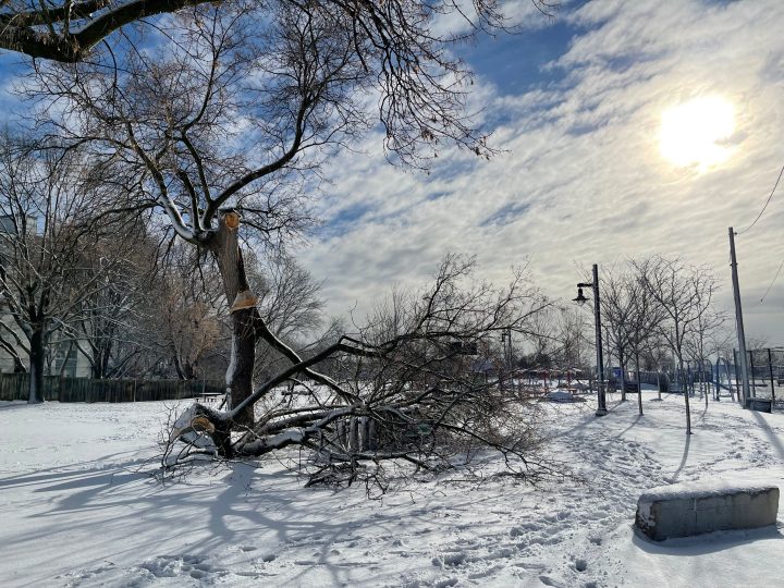 The sun breaks through over a snow-covered Toronto park on Saturday, March 4, 2023.