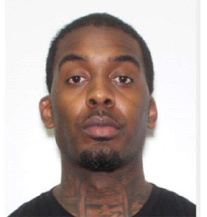 Fourth person arrested in connection with kidnapping of Elnaz Hajtamiri ...