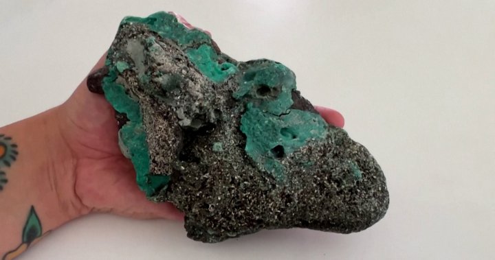 Plastic rocks turn up on a remote Brazilian island, ‘terrifying’ researchers