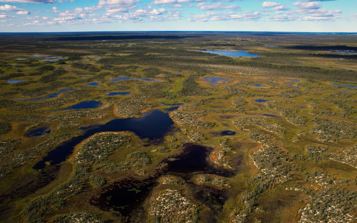 Aerial view of Hudson Bay Lowland Peatlands near Peawanuck First Nation.