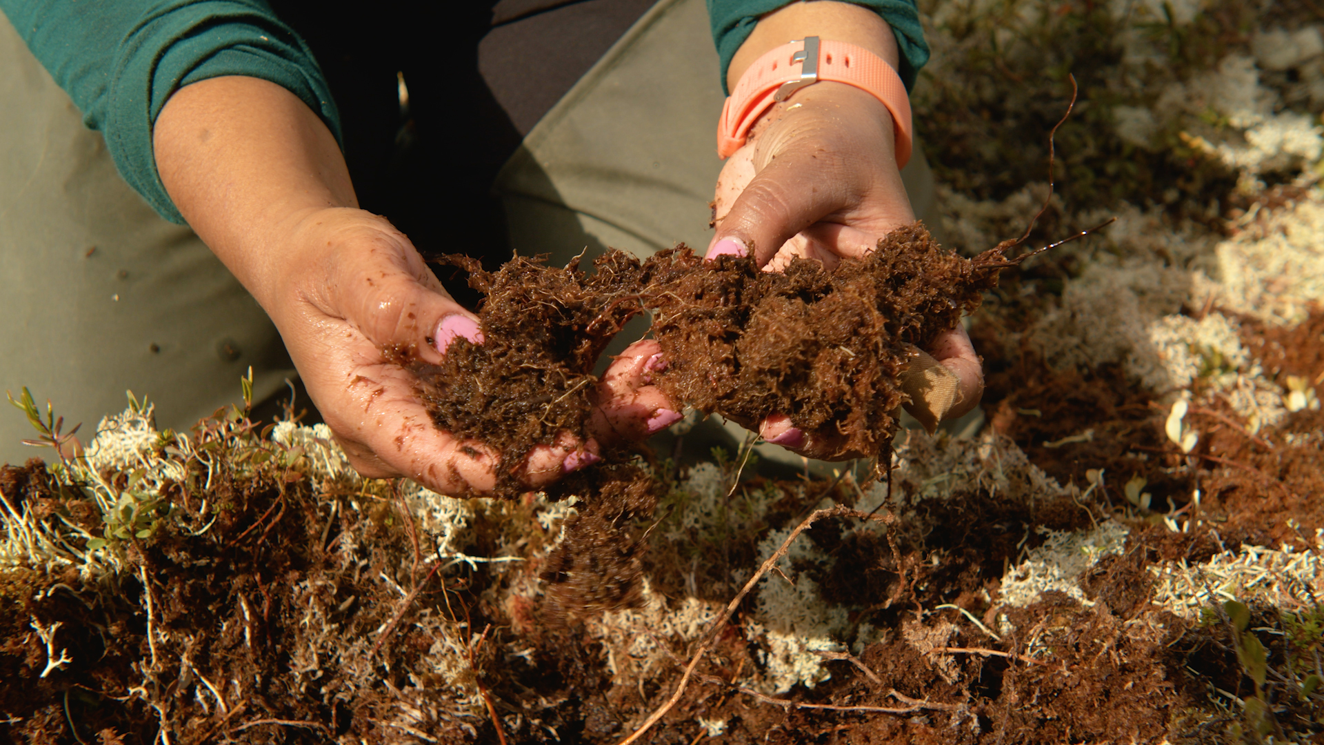 Scientist Michelle Kalamandeen holds peat in her hands.