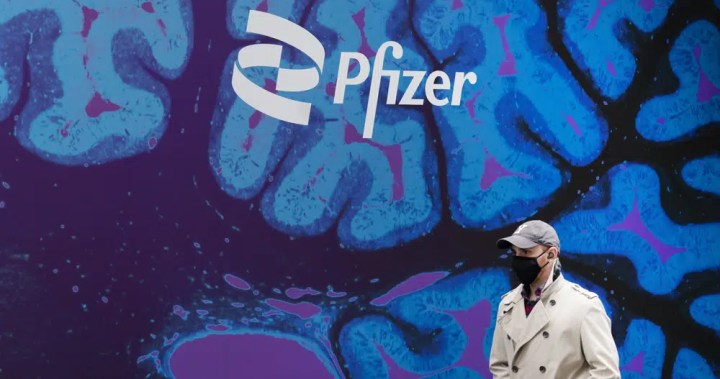 Pfizer to buy cancer drugmaker Seagen in US$43B deal 
