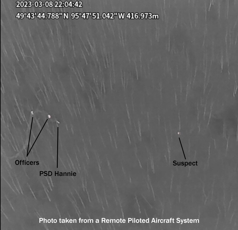 RCMP say it took an hour-and-a-half to walk the suspect back to the road due to dense brush and rough terrain.