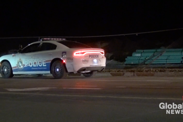 SIU investigates after Peterborough, Ont. police dog bites suspect in vehicle theft - Vimarsana News