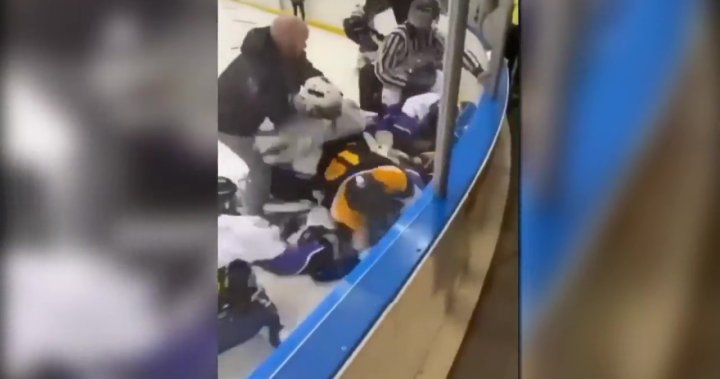 La bagarre de la poignée de main du hockey à Edmonton est une «travestie du jeu»: les officiels