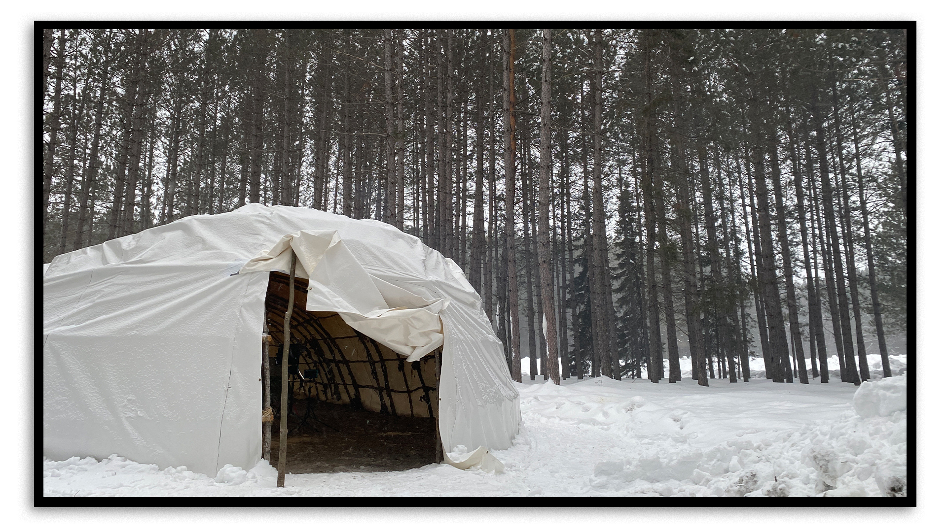 A teaching lodge built by Nogdawindamin in Batchewana First Nation is surrounded by snow and trees. The teaching lodge has a white canvas roof, and the canvas is rolled up at one end to create an entranceway. There are tall pine trees behind the lodge.