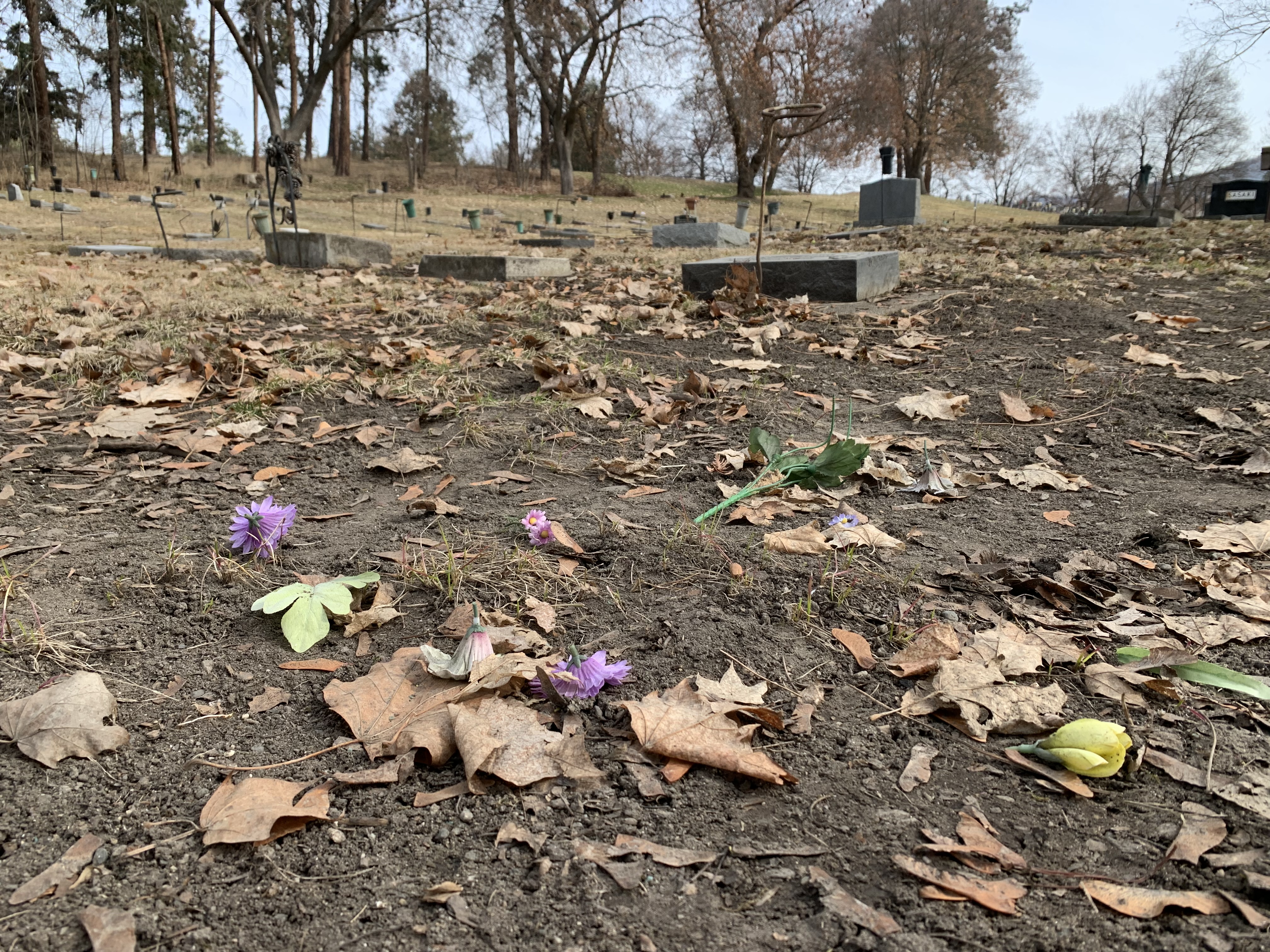 No trinkets, photos at grave-sites: City of Vernon
