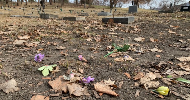 Без дрънкулки, снимки на гробовете: град Върнън