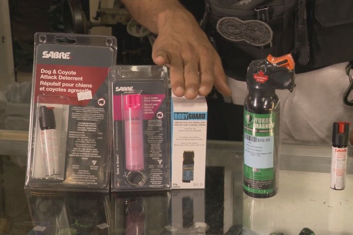 Edmonton looks to ban sale of bear spray to people under 18 years old