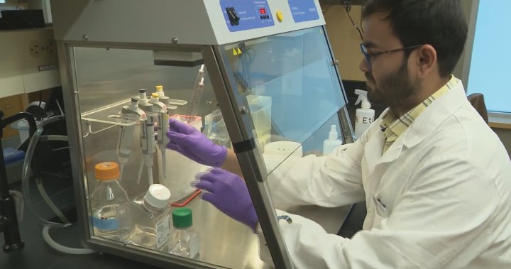 New national biomedical innovation hub being led by UBC at its Vancouver campus