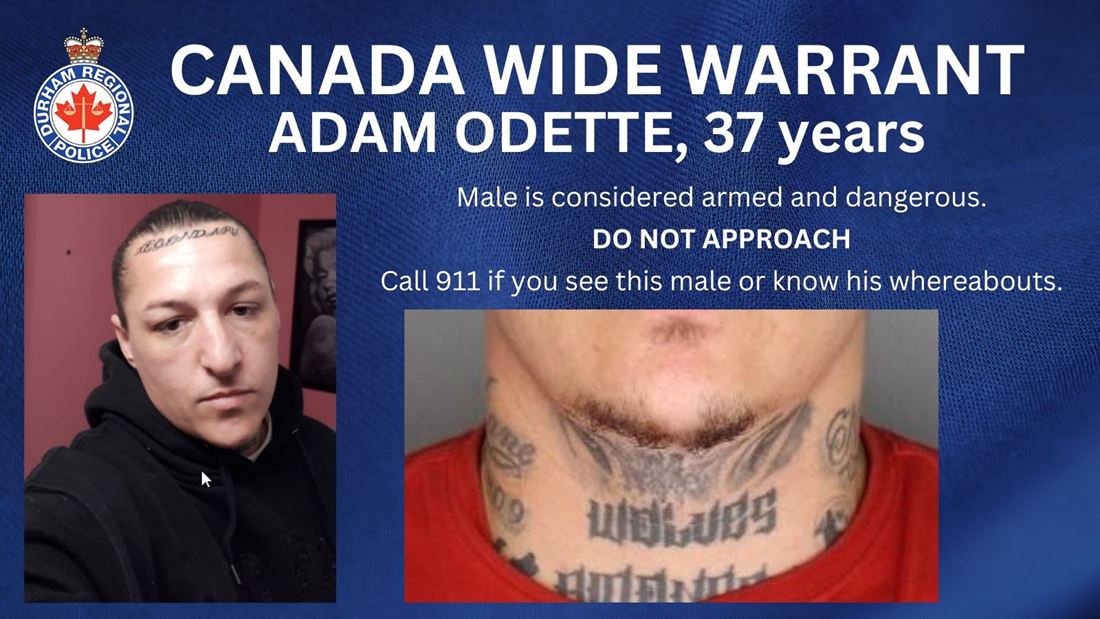 Canada-wide warrant issued for man in stabbing death of 26-year-old woman in Oshawa - image