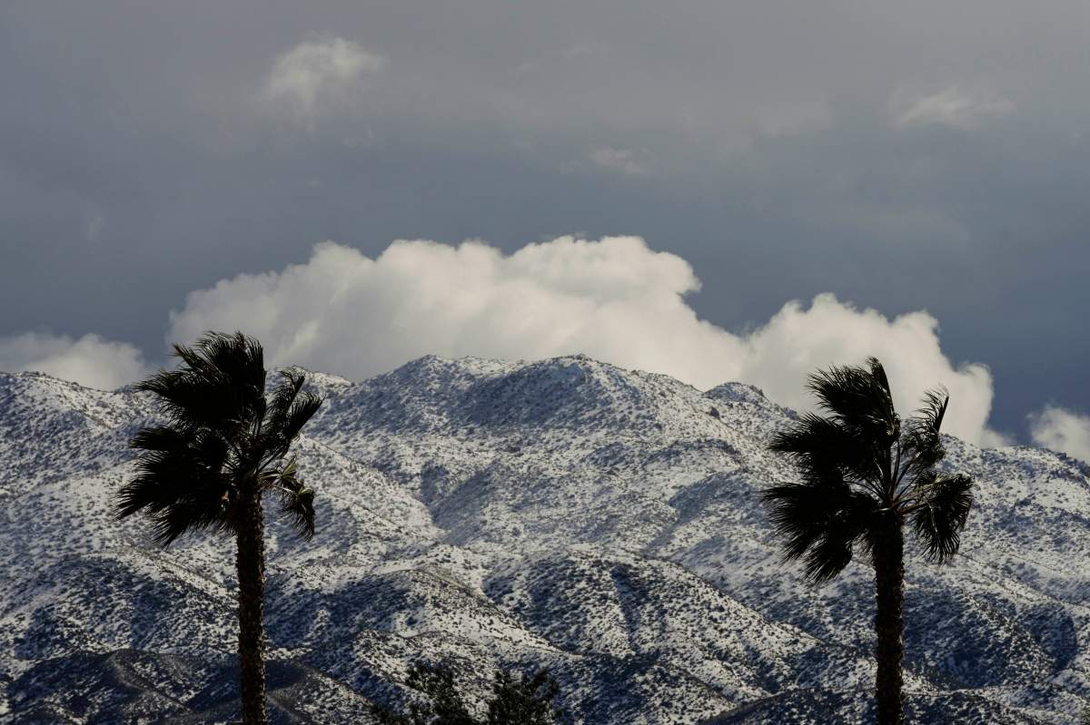 Snow covered mountains stand behind palm trees in southern California.