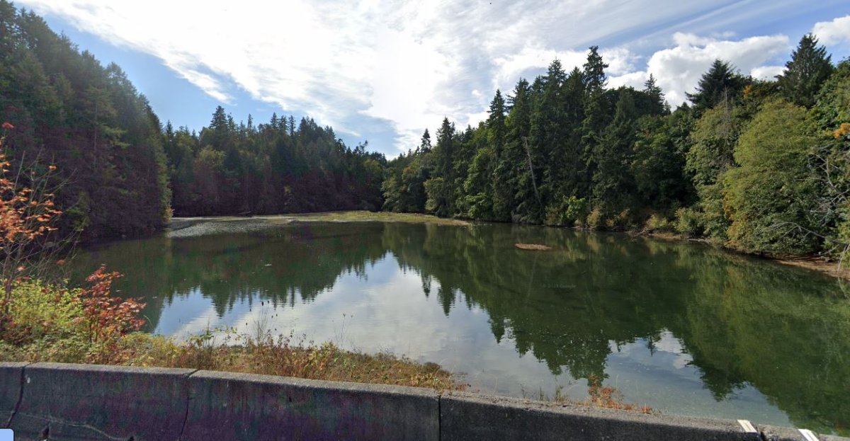 Davis Lagoon in Ladysmith. 