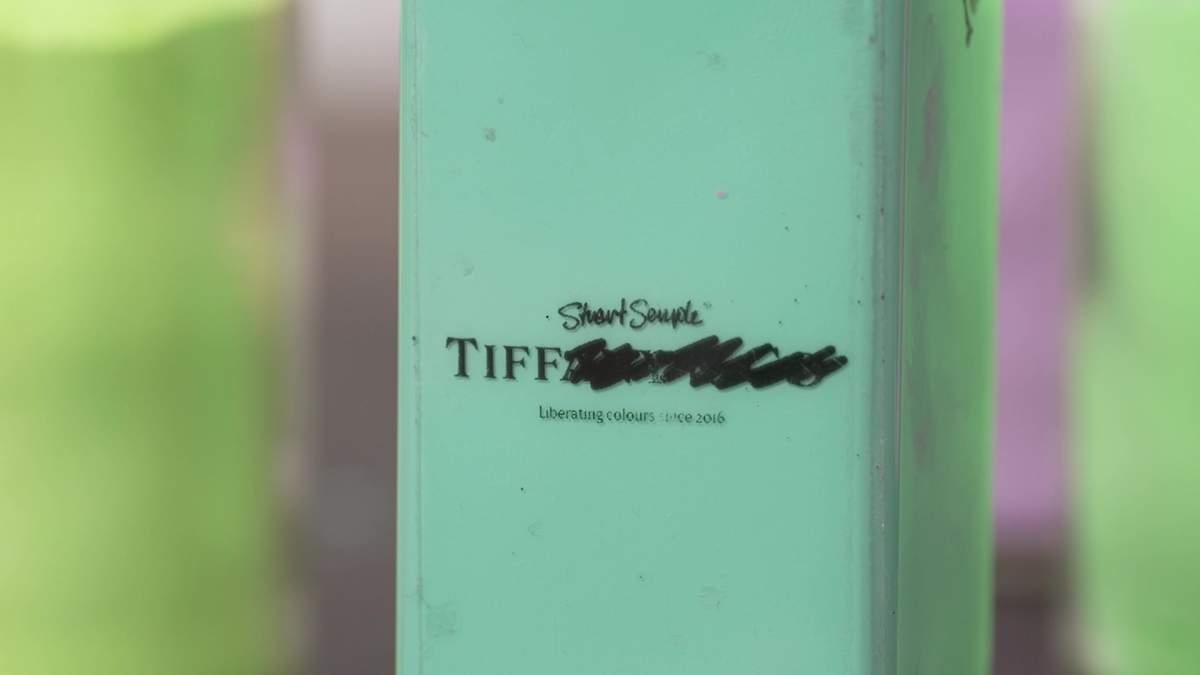 Semple's branded "Tiff" robin's egg blue paint.