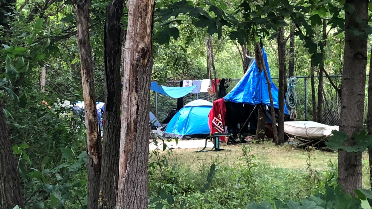 A photo of a tent on the Niagara Escarpment in Hamilton, Ont.  A biannual update on life-expectancy among people living rough in Hamilton is suggesting 43 is the average age of death for a person experiencing homelessness in the city, a number largely affected by drug abuse.