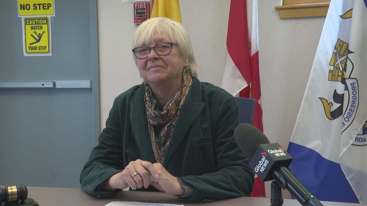 Mayor Judy Wilson-Shee says she is concerned about the size of her new riding.