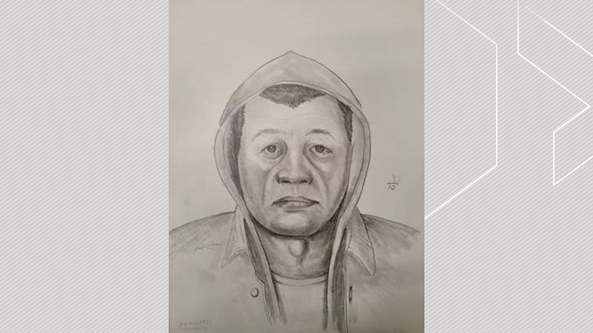 Parkland RCMP have released a sketch of a man accused of groping a 12-year-old in Spruce Grove.