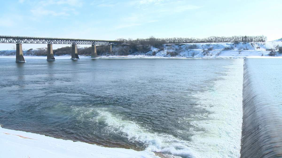 Saskatoon Nature Society volunteers will be tracking the landing of the first pelican between the CPR bridge and the weir. .