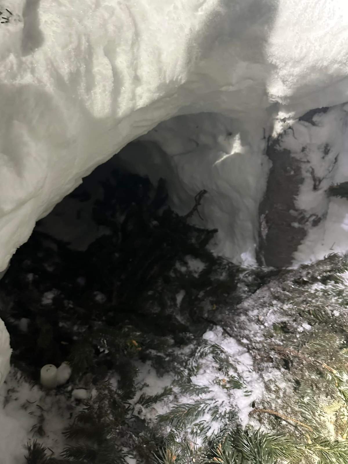 Snowmobiler rescued from Vernon, B.C. backcountry after 8 hours - image