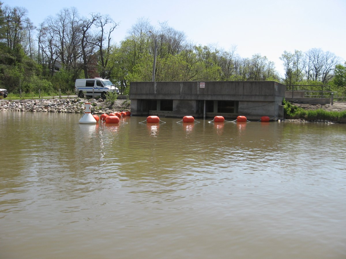 Buoys installed at dam in New Dundee.