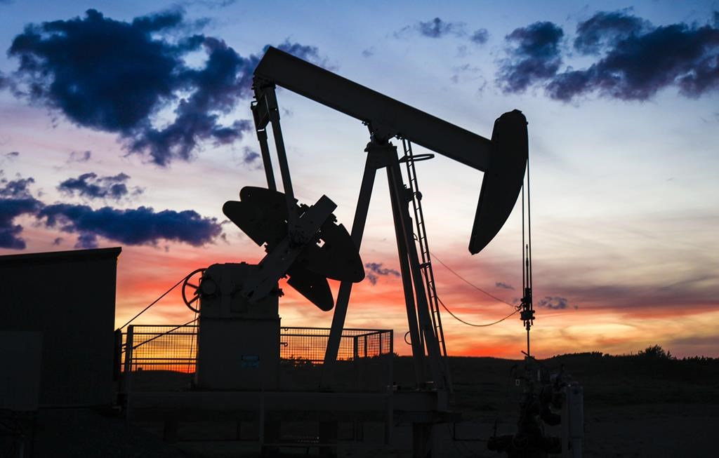 A pumpjack draws out oil from a well head near Calgary, Alta., Saturday, Sept. 17, 2022. Canada's oil and gas sector is hopeful the federal government will live up to its budget-day pledge to speed up the time it takes to build major infrastructure projects in this country.