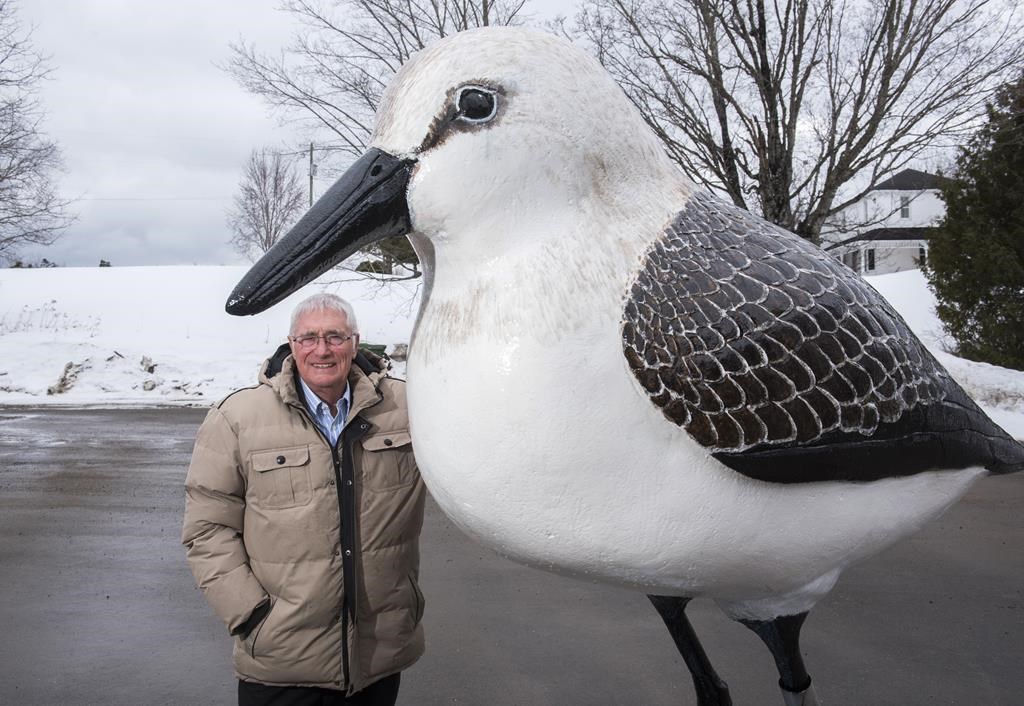 Robin Hanson stands with his statue of a semipalmated sandpiper outside of his gallery in French Lake, which is approximately 30 minutes south of Fredericton, Friday March 24, 2023. The avian avatar of the tiny semipalmated sandpiper has returned to her perch in a New Brunswick village, and the former deputy mayor of Dorchester says the sculpture looks happy to be home. THE CANADIAN PRESS/Stephen MacGillivray.