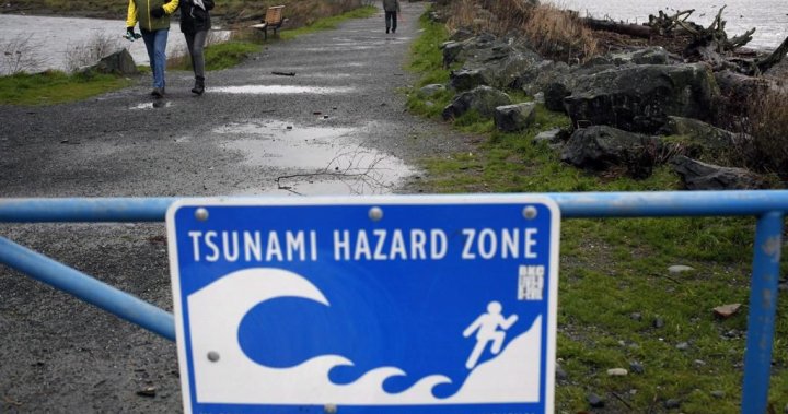 The research found that a tsunami caused by a magnitude 9.0 earthquake would reach the coast of British Columbia in about 20 minutes