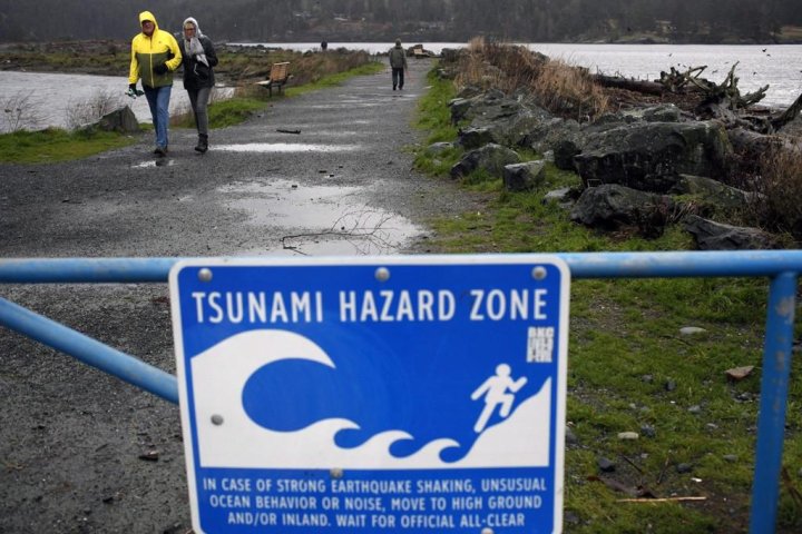 A tsunami from 9.0 earthquake would reach B.C. coast in about 20 minutes, research finds