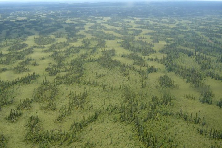 Alberta regulator reconsiders Fort Hills oilsands approval after critical report
