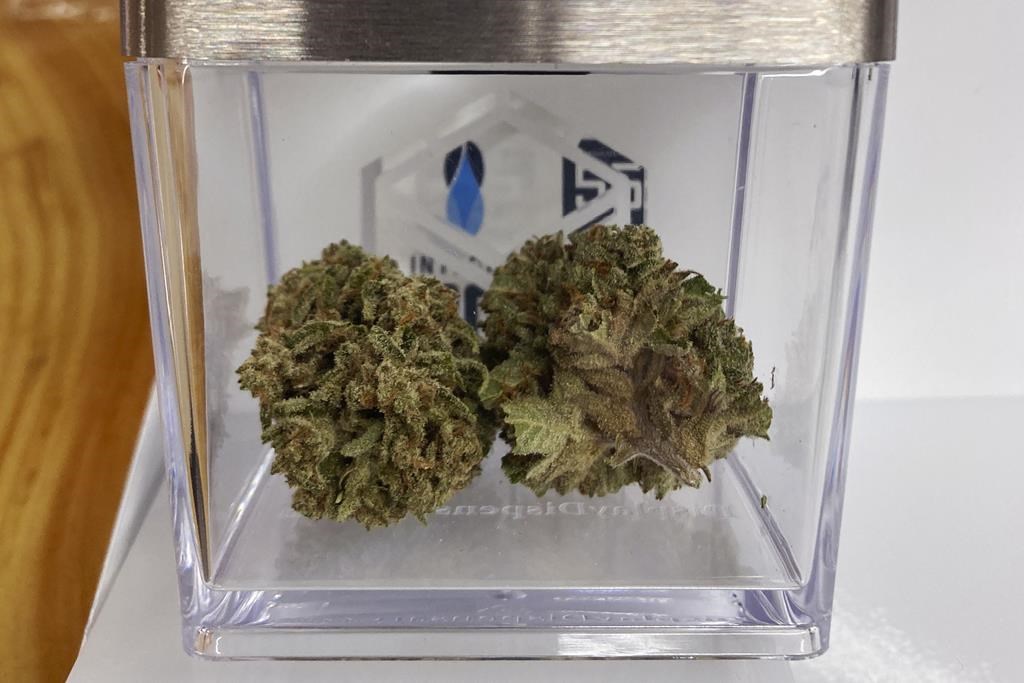 Cannabis is displayed at a store in Rutland, Vt., Thursday, Sept. 29, 2022.