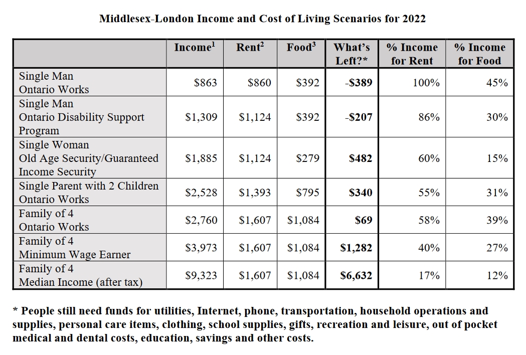 MLHU report highlights struggles low-income Londoners face affording nutritious food - image