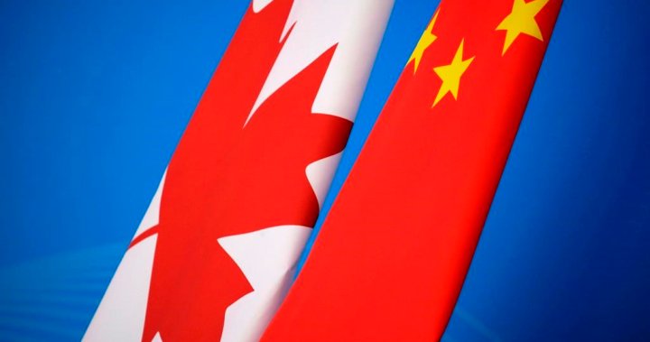 Canadians need a ‘wake-up call’ on China interference in Canada, Liberal MP says
