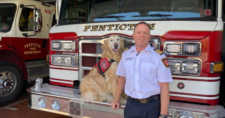 Four-legged hero retires from rescue career in Penticton, B.C.
