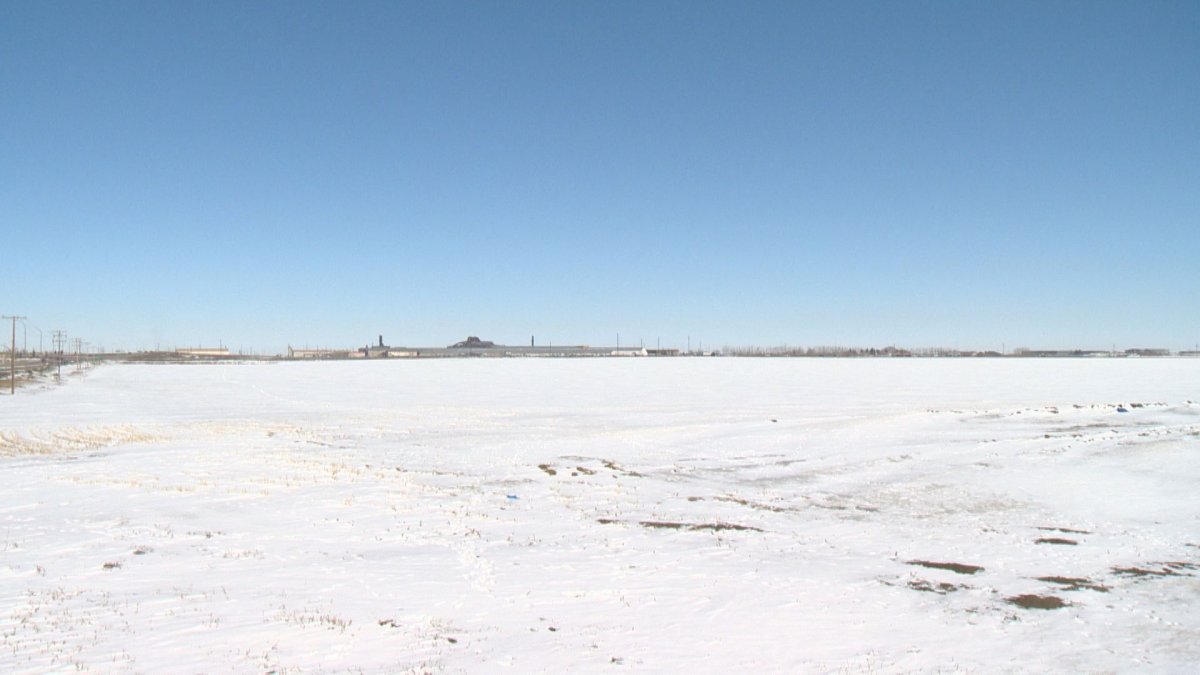 Regina City Council voted unanimously to grant Cowessess First Nation with the option to purchase city land in north Regina's Hawkstone neighbourhood.