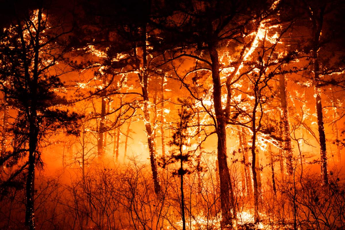 In this photo provided by the New Jersey Department of Environmental Protection, a massive 2,500-acre forest fire burns in Ocean County, N.J., early Wednesday, April 12, 2023, as firefighters battle the blaze. The fire started late Tuesday, April 11, and is burning across some 2,500 acres (about 1,000 hectares). (New Jersey Department of Environmental Protection via AP)
