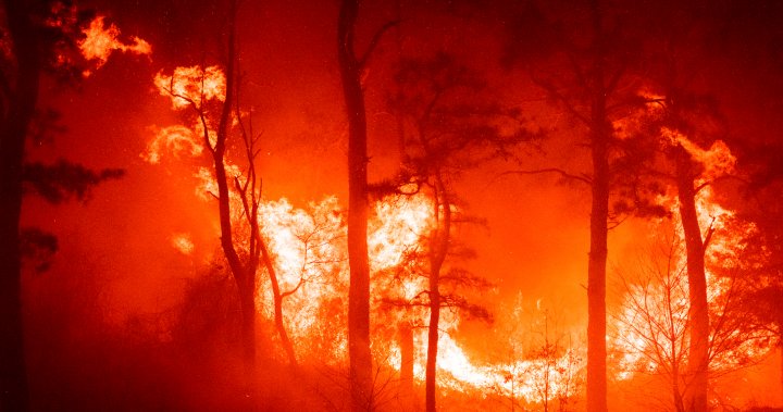 A New Jersey wildfire has blazed over half of all acres burned in an average year