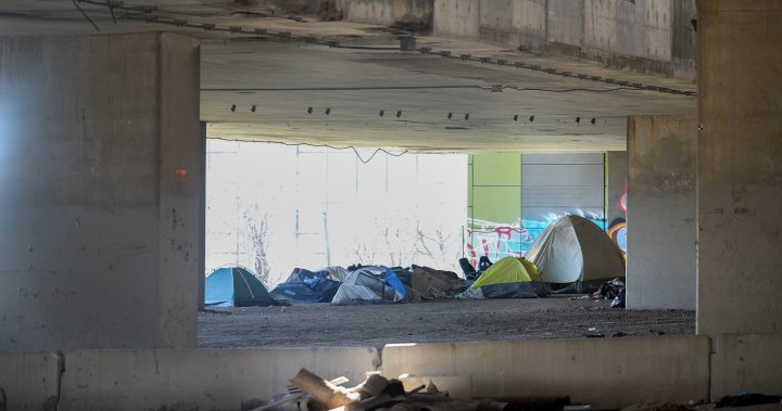 Quebec judge grants injunction halting eviction of homeless camp living under highway – Montreal | Globalnews.ca