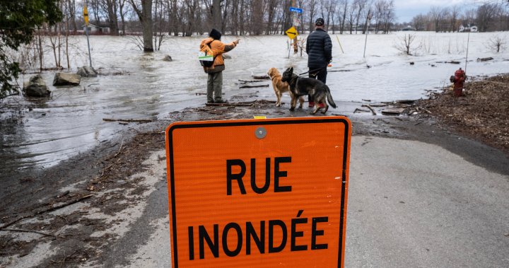Flood watch: Heavy rain batters southern Quebec, province braces itself  | Globalnews.ca