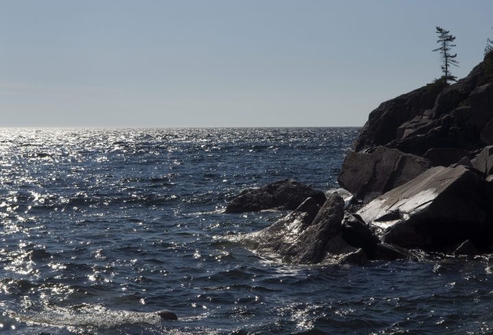 A lone tree stands guard on the Agawa Bay shore of Lake Superior, near Sault Ste. Marie, Ontario on Monday June 23, 2008.  