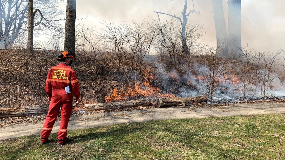 The RBG says access will be limited during the midday and afternoon in some areas of the nature sanctuary due to controlled burns on April, 14, 2023.