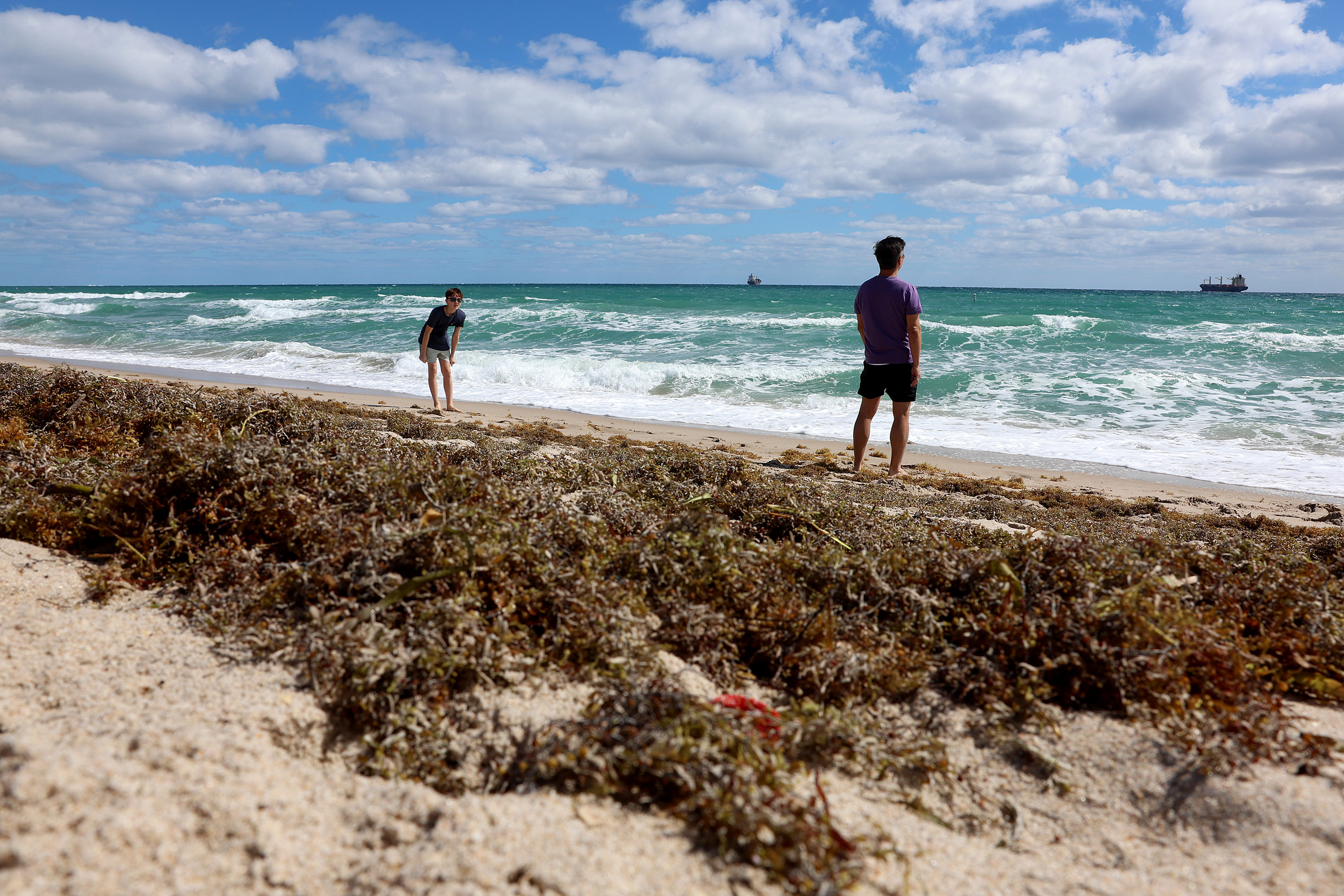 Beaches beware: Giant bloom of sargassum seaweed reaches record-high level – National | 24CA News