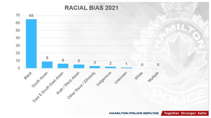 Black, Jewish and LGBTQ2 communities ‘frequently victimized’ as hate/bias cases up in Hamilton - image