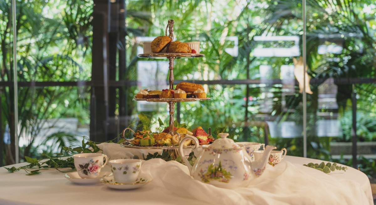 High Tea at the Zoo - image