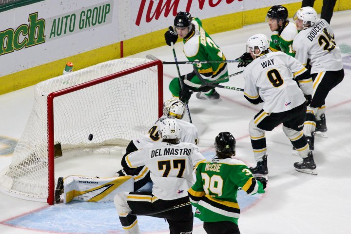 The London Knights made the 24-year wait to face Sarnia in the playoffs well worth it